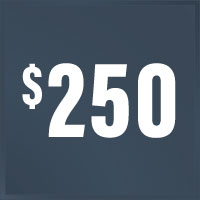 $250 Cash Deposit